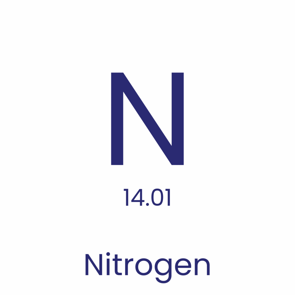 N2 molecule