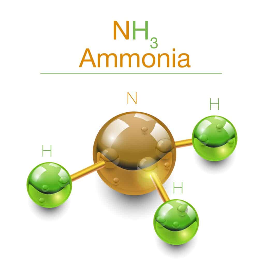 Ammonia molecule